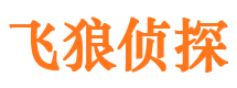 泰山市私人调查